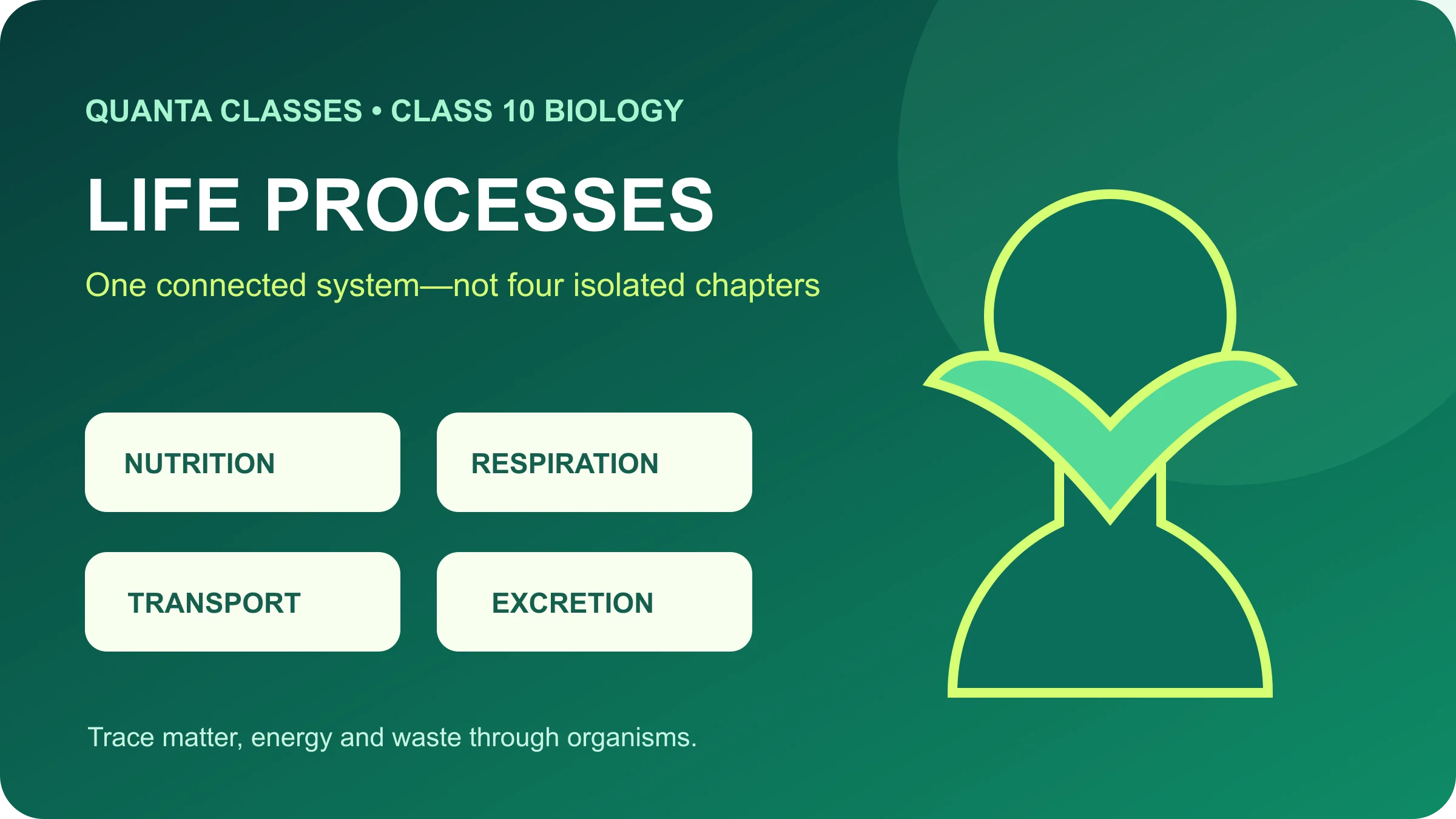 Life Processes Class 10: Complete Concept Guide with Diagrams